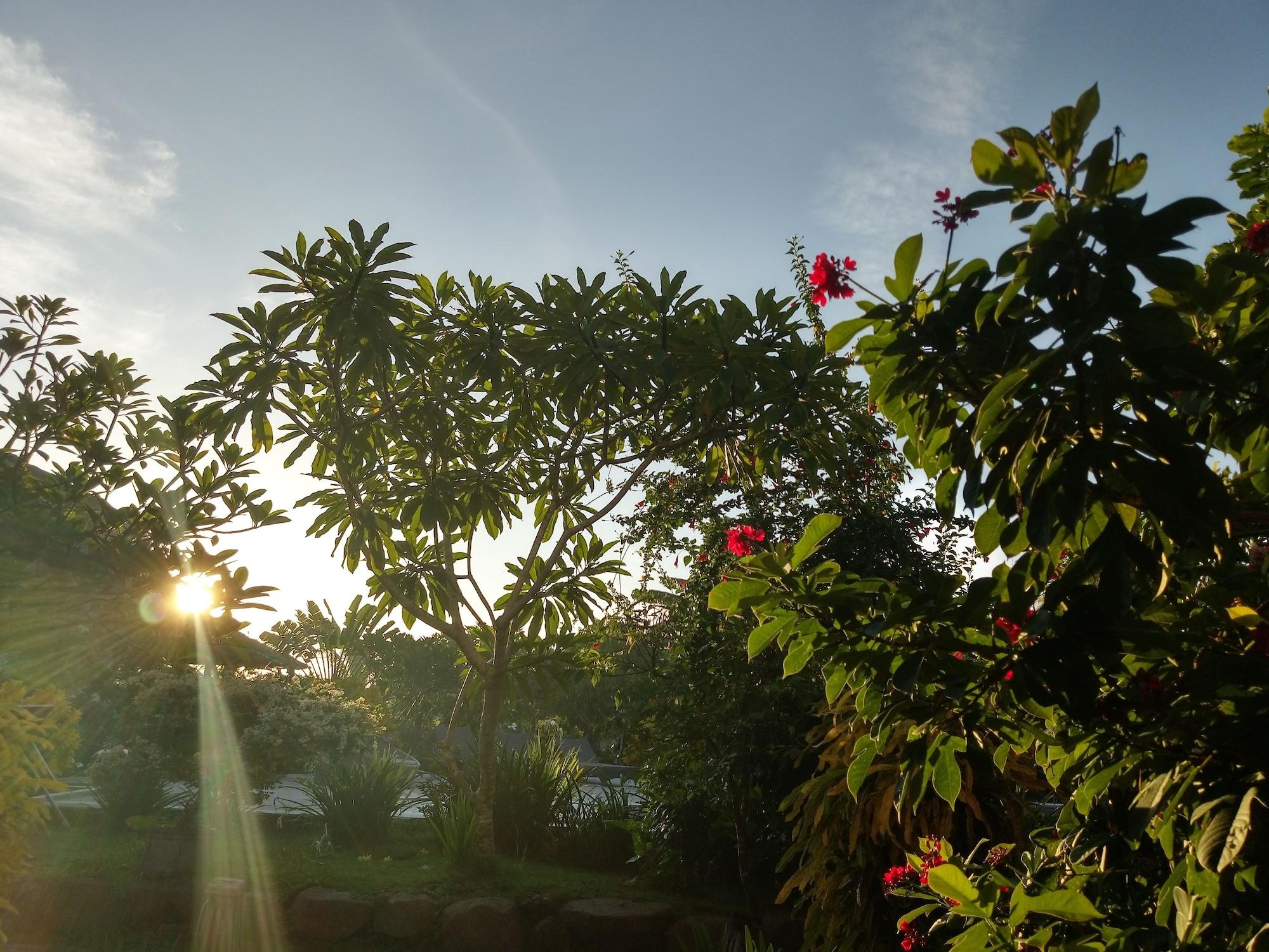 Owa Lodge Areguling Kuta  Luaran gambar
