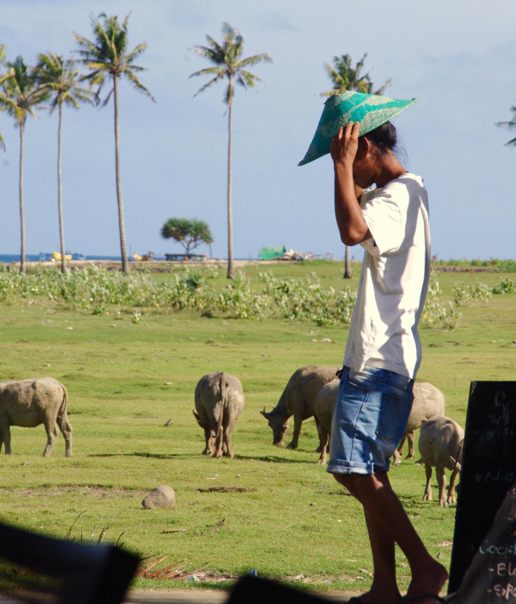 Owa Lodge Areguling Kuta  Luaran gambar